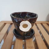 'Daisy' mini flower pot n saucer